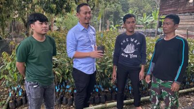 Salurkan 12 Ribu Bibit, Ian Latanro Ingin Enrekang Jadi Sentra Durian Musang King
