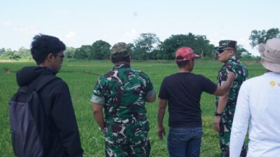 Brigjen TNI Wawan Erawan Tinjau Oplah dan CSR Satgas Swasembada Pangan di Enrekang